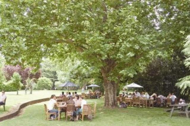 Petersons Armidale Winery And Guesthouse Eksteriør billede