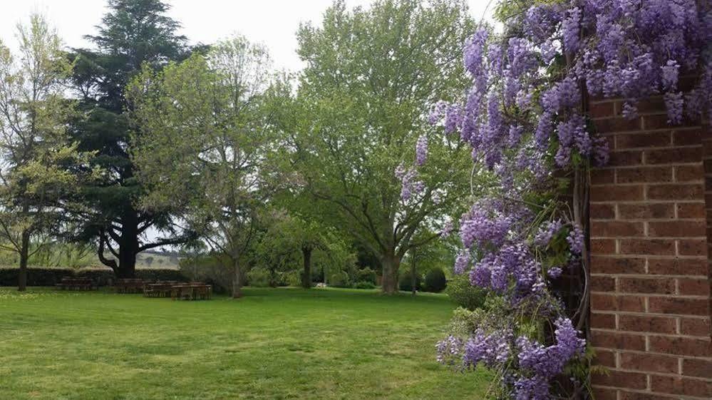 Petersons Armidale Winery And Guesthouse Eksteriør billede